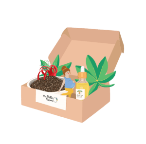 Box grossesse naturopathie Cadeau