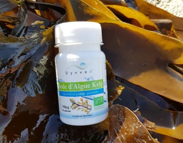 Iode d'algue kelp Box Grossesse naturopathie